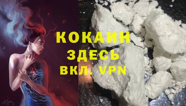 бошки Вязьма