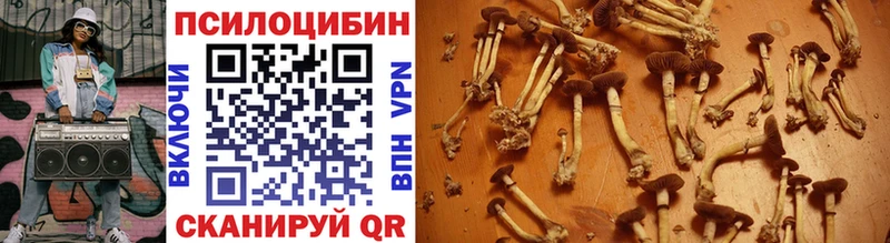 Псилоцибиновые грибы мицелий  Купить где  Батайск 